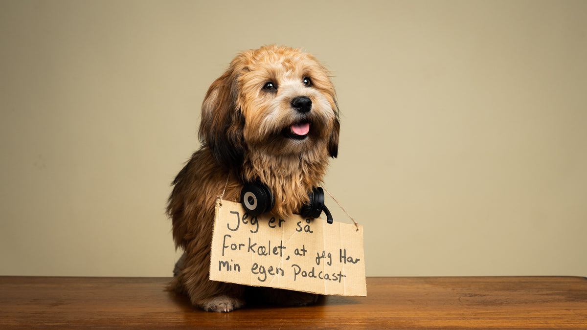 Ny podcast skal klæde hundeforældre bedre på til hundelivet