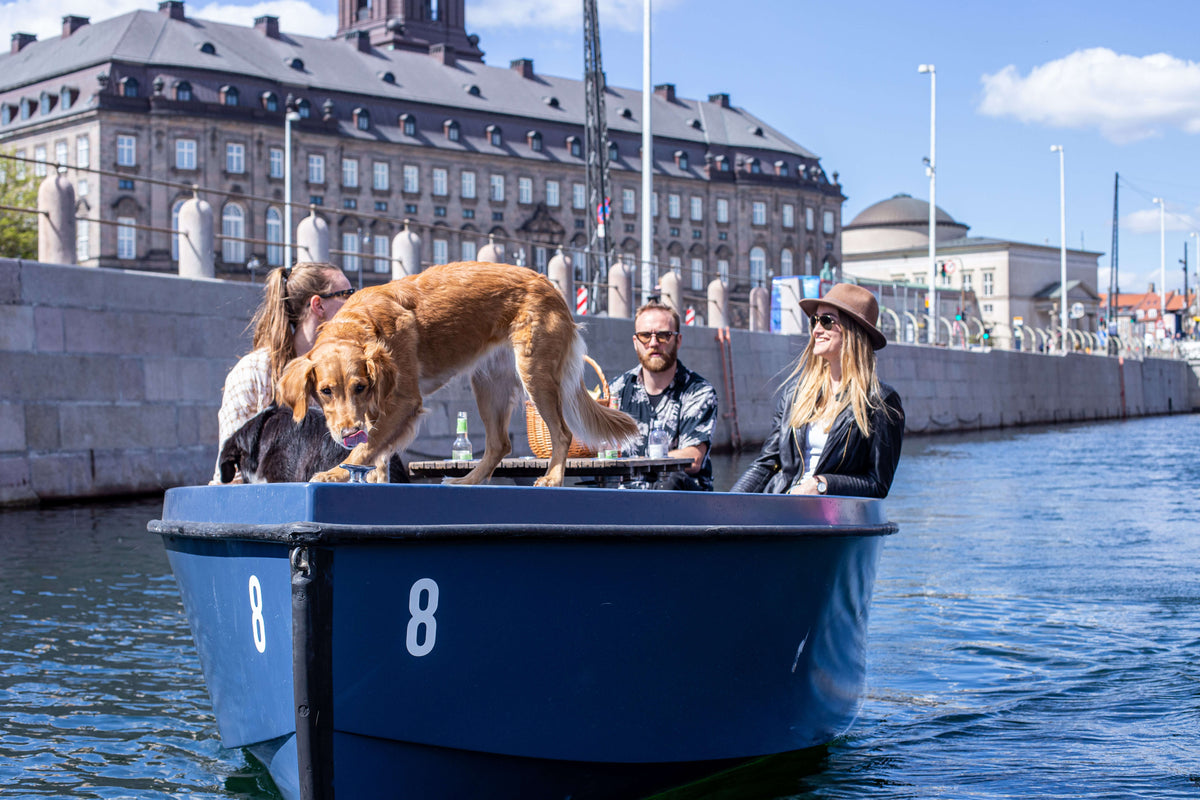 Vuffeli på vandet: Tag din hund med på en GoBoat