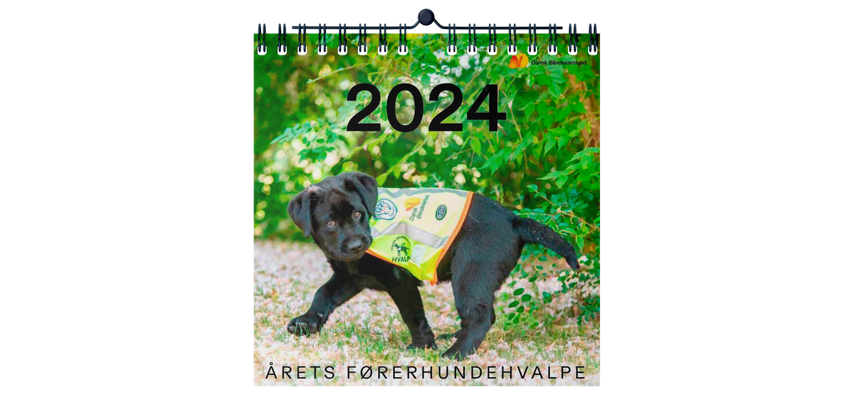 En gave der gavner: Få årets førerhundekalender med din Vuffeli-pakke
