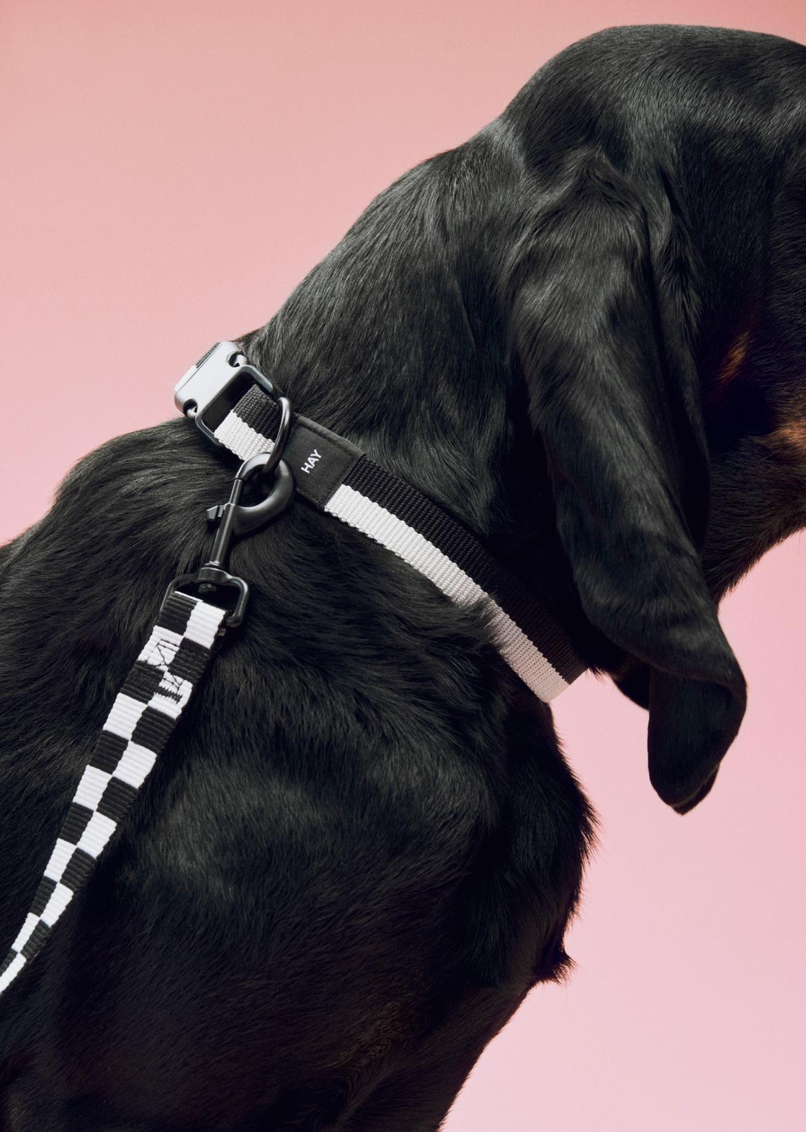 HAY Hundehalsbånd - Sort/Hvid