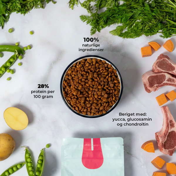 Lamb n’ Sweet Potatoes Puppy & Mini