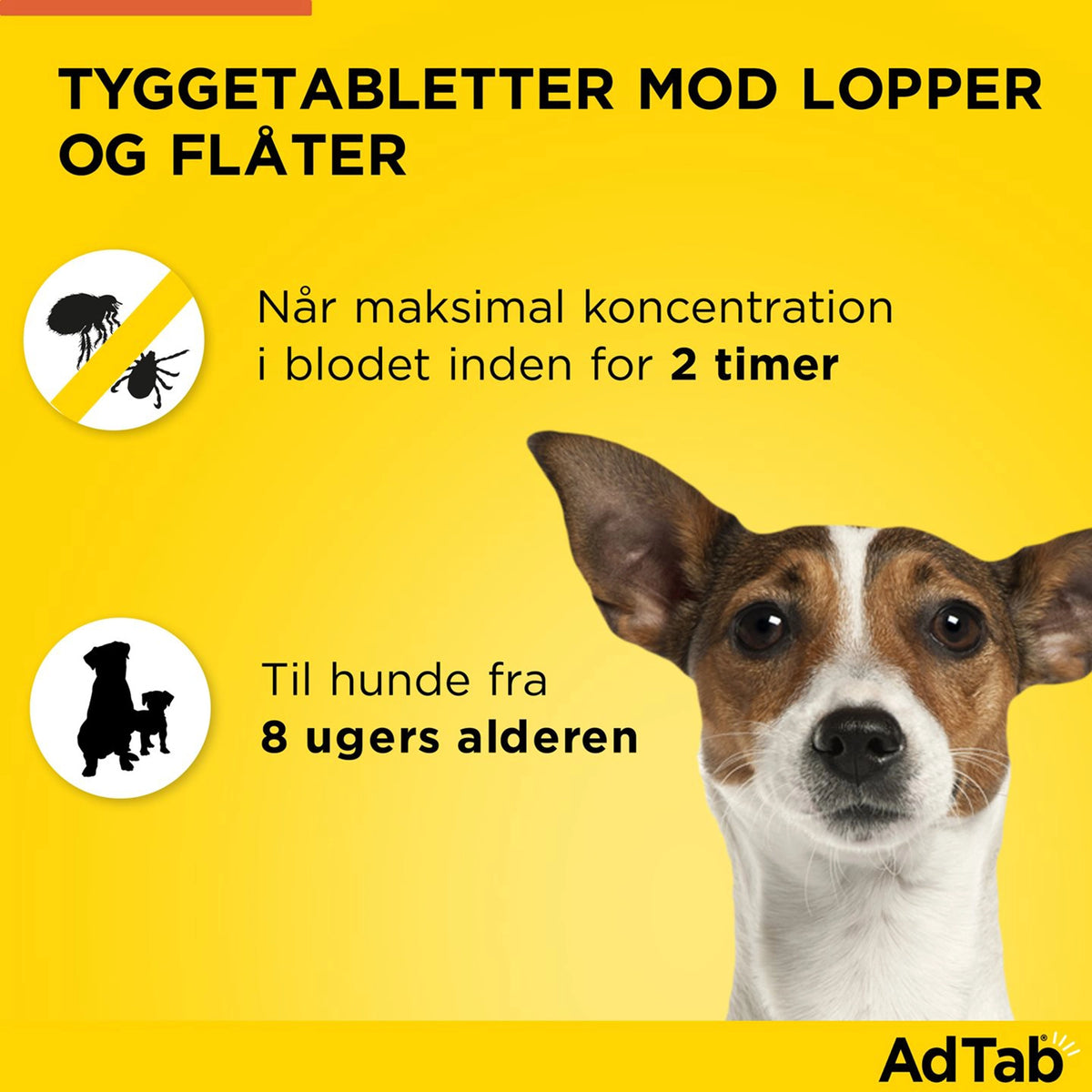AdTab tyggetabletter til hund 5,5-11 kg mod lopper og flåter