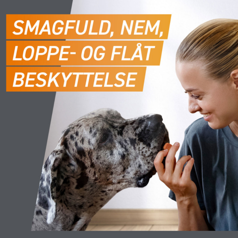 Frontpro tyggetabletter loppe- og flåtmiddel | >10-25 kg (3 stk)