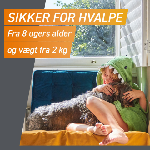 Frontpro tyggetabletter loppe- og flåtmiddel | >10-25 kg (3 stk)