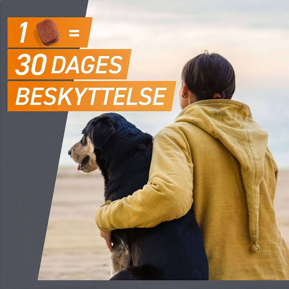 Frontpro tyggetabletter loppe- og flåtmiddel | 2-4 kg (3 stk)
