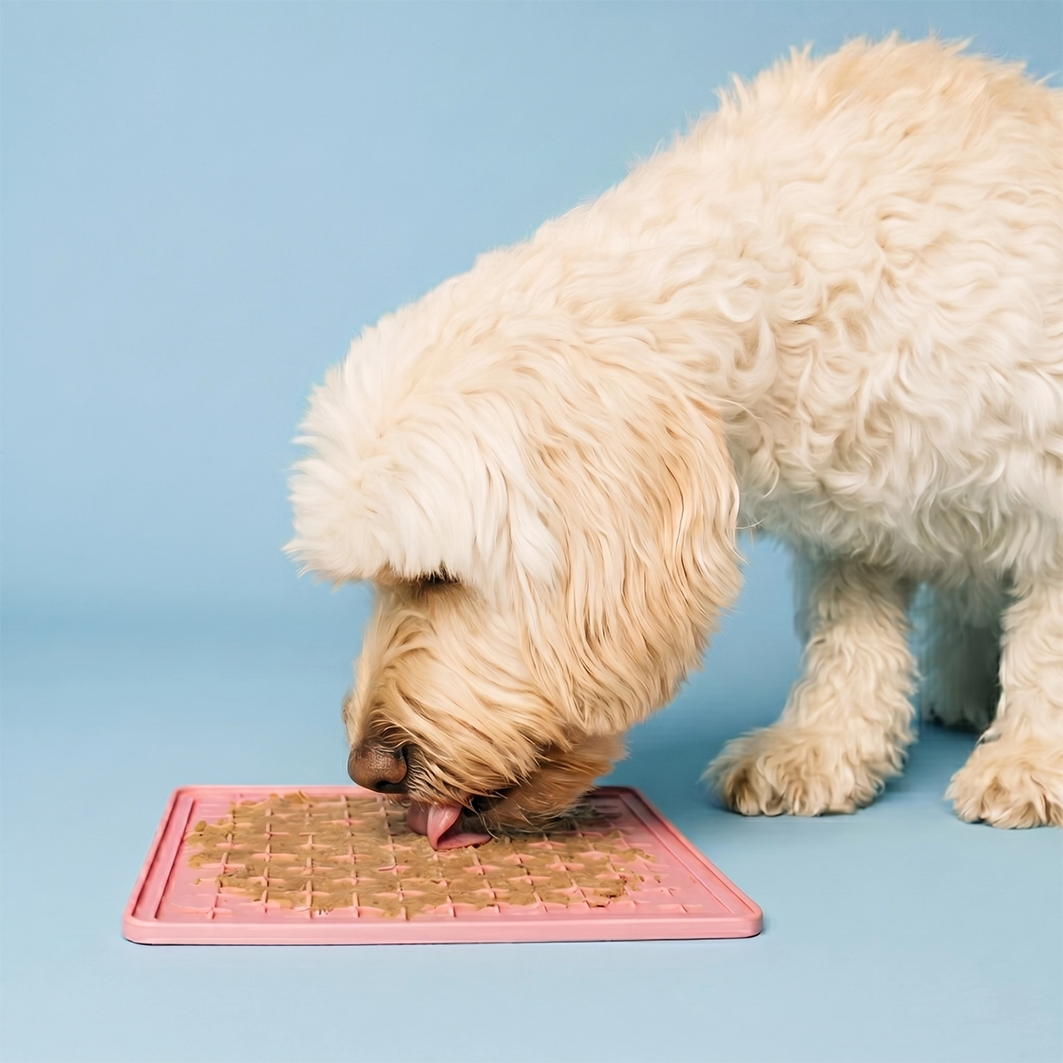 Vådfoder til voksne hunde, 300 g
