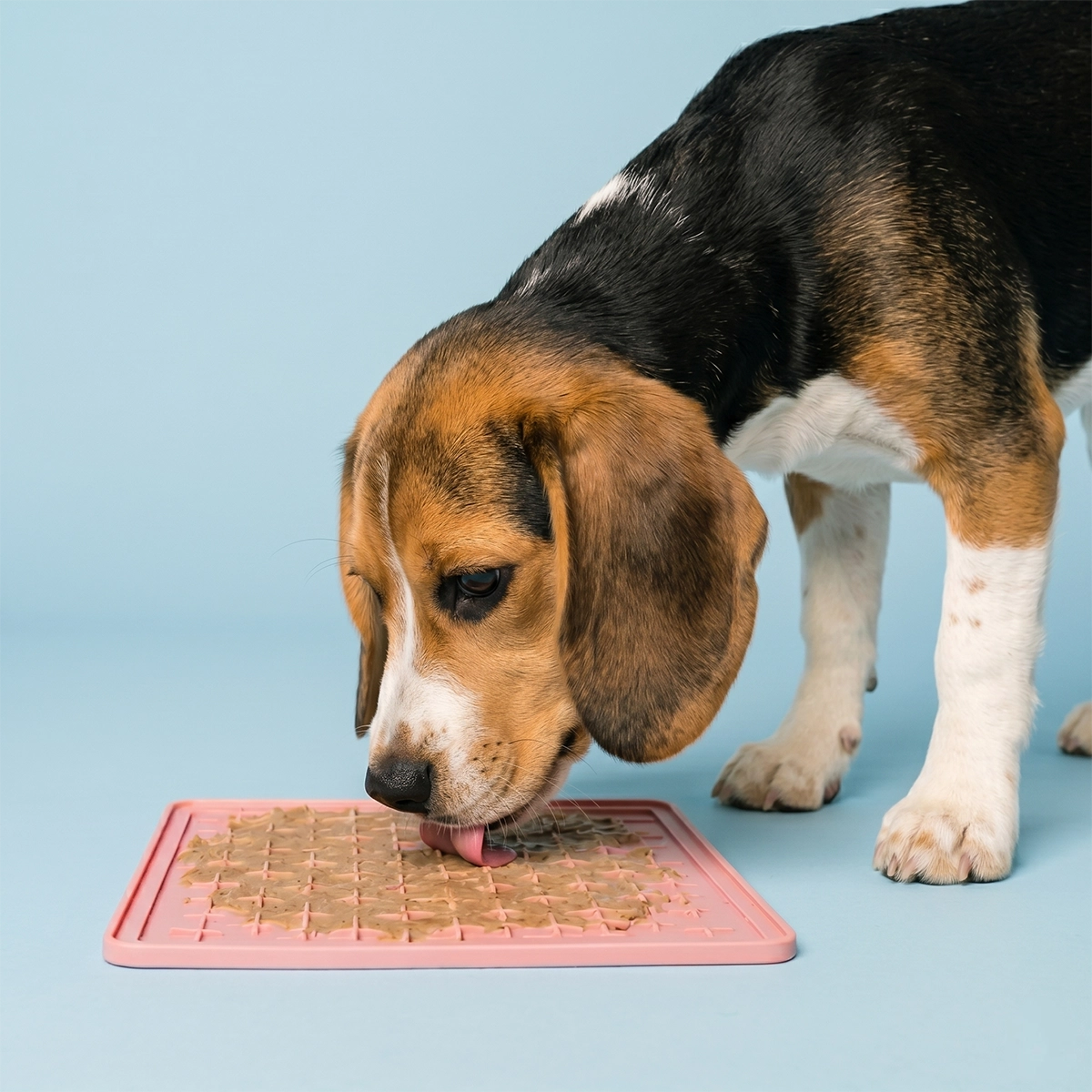 Vådfoder til voksne hunde, 300 g (18 stk)