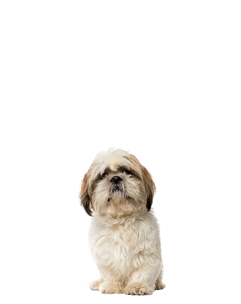 Bertha