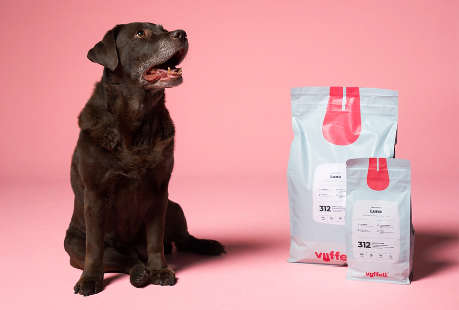 Labradoren Luna med grå snude sidder og kigger op ved siden af sine to personlige foderposer fra Vuffeli